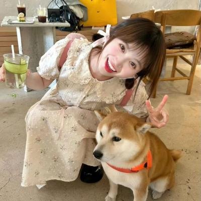 双镯